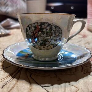 Ozarks Souvenir Decorative tea cup and saucer set
